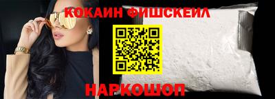 шишки Можга