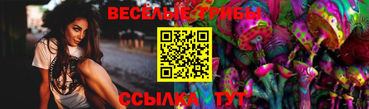Свободный  Галлюциногенные грибы GOLDEN TEACHER  Вход с VPN 